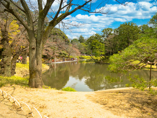 春の六義園　旅行　散歩　おすすめ