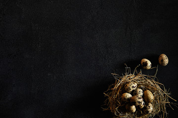 Easter, spring or eco food concept. Top View, free space for text
