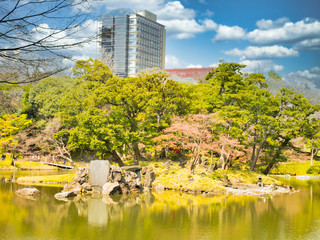 春の六義園　旅行　散歩　おすすめ