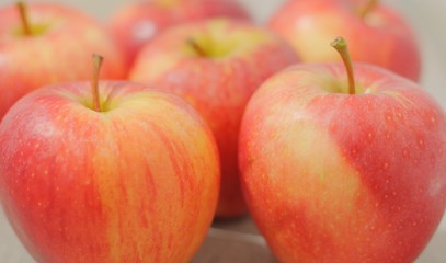 grupo de manzanas rojas y amarillas con fondo suave, bokeh, hermoso, rojo, comida, fruta, delicioso, manzana, fruta, rojo, alimento, fresco, madura, organica, dieta, jugosa, delicioso, frescor