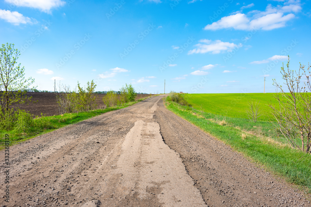 Canvas Prints road in a field