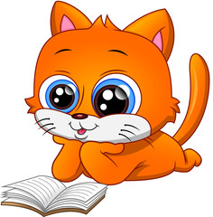 funny cat reading book