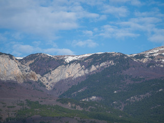 Panoramic view of mountain landscape with fir forest and snow on a sunny day.