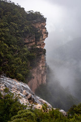 Wentworth Falls misty mood after rain