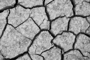 Pattern ground field that is broken from drought in the summer black and white tone (monochrome)...