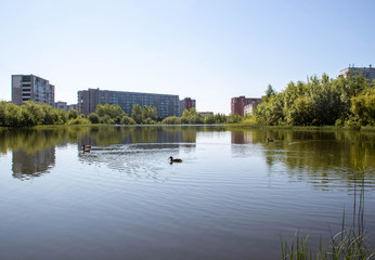 Summer day on the island of Jagra. Lake Chayachiy. Severodvinsk, Arkhangelsk region.