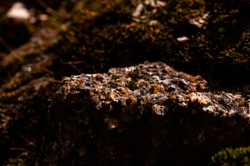 Minerales en piedra