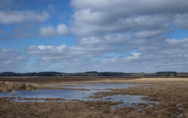 Swamp. Peet and heatherfields. Drents-Friese Wold National Park. Doldersumse veld. Netherlands.