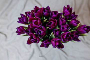 Spring flowers, bunch of purple tulips in black paper bag on the beige plaid.
