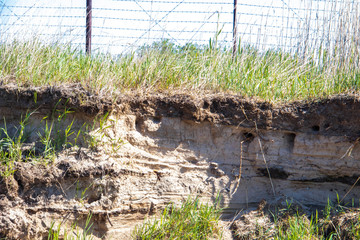 Summer day on the island of Jagra. Nests of shorebirds in the layered coast of the White sea