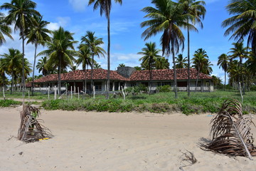 porto de galinhas
