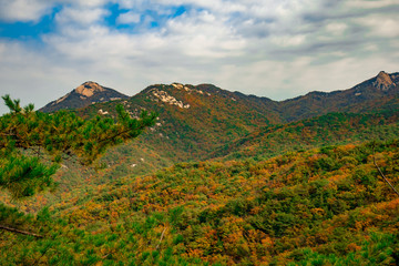 fall mountain 가을산