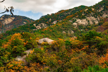 fall mountain 가을산