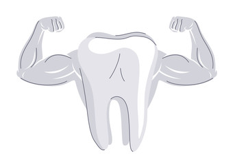 White healthy tooth with strength muscular hands concept isolated vector illustration, strong teeth, minimal simple style drawing.