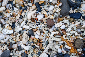 Coral and sea pebbles beach background texture. Many stones and old corals instead of sand on the beach. They have different shapes. Seamless pattern of Corals on the beach floor.