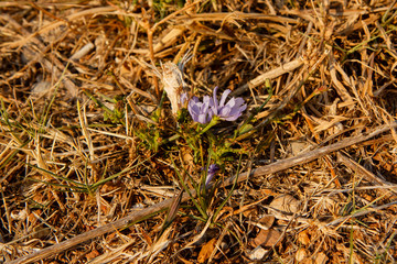 Nature in Montenegro