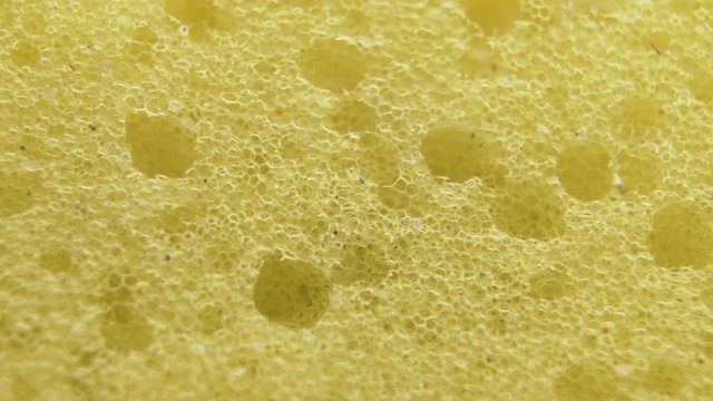 Macro shot of the yellow sponge. Detailed sponge texture background