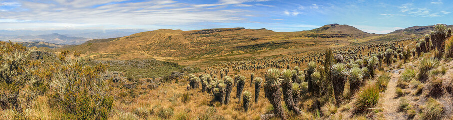 Panorama des Páramo, einer typischen Landschaftsform im Hochland von Kolumbien mit trockener...