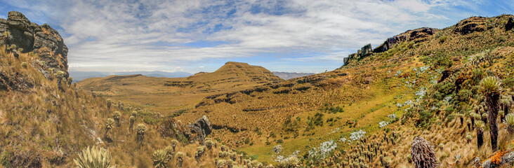 The Páramo, a typical landscape and alpine ecosystem of Columbia, as wide shot