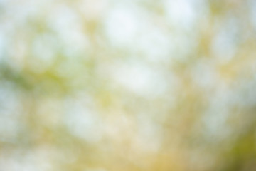 Light bokeh decorate  dreamy glamour blur the abstract background, Festive defocused lights, valentine day love beautiful,  Concept: Iridescent glitter empty defocused bokeh   modern pattern  2020  