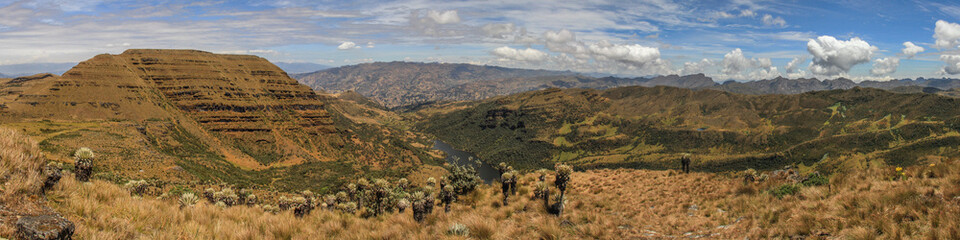 The Páramo, a typical landscape and alpine ecosystem of Columbia, as wide shot