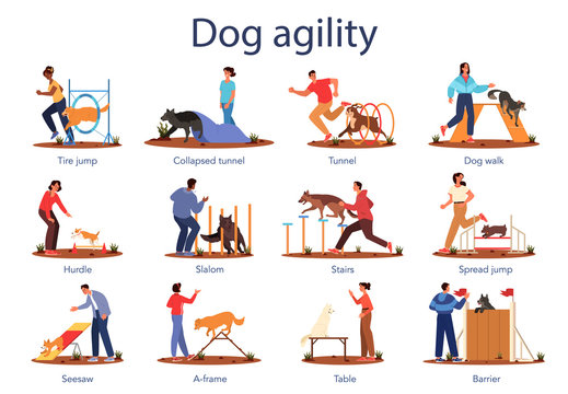 Dog agility set. Training exercise for pet. Woman and man training