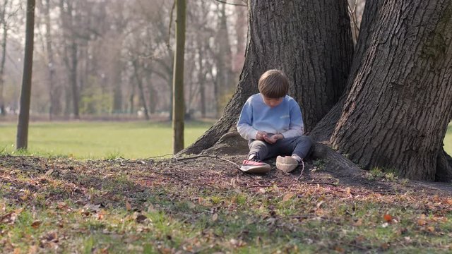 Little boy kid play alone sit under the tree on park ground watch geather some wooden sticks nature cognition