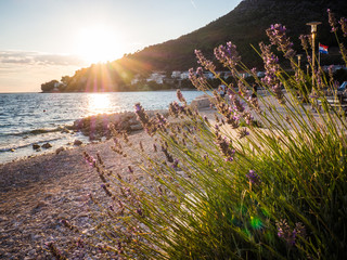 Sunset over the sea in Croatia, Drvenik and lavender flowers
