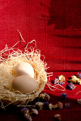 eggs in nest on red background with flowers