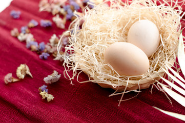 eggs in nest on red background with flowers