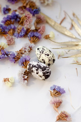 two quail eggs on flowers background. Background for Easter