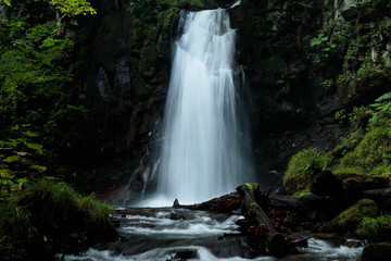 Naklejka premium 滝