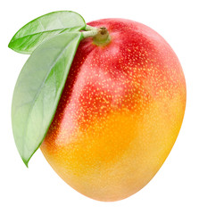 Ripe fresh mango clipping path. Mango isolated on white background. Mango leaf macro studio photo