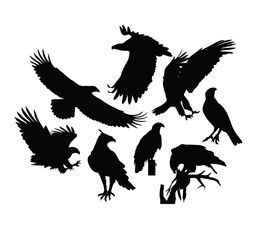 Eagle Bird Silhouettes, art vector design