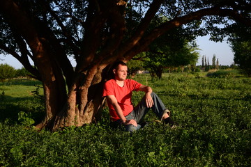 Naklejka na ściany i meble lonely guy in a red t-shirt sitting under a tree at sunset