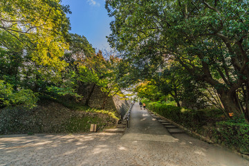 Obraz premium 秋の丸亀城の風景