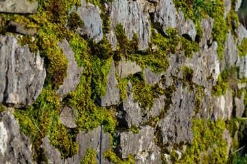 Mauer Bruchstein Fugen alt Vintage Fundament Moos Pflanzen Details Oberfläche Struktur historisch...