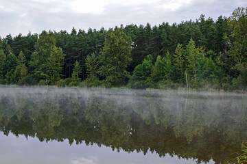 Jezioro w lesie