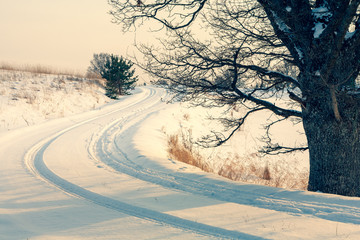 A road winds through the snow between trees in winter