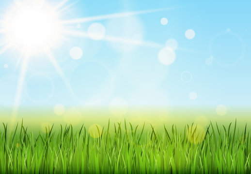 floral grass panorama background