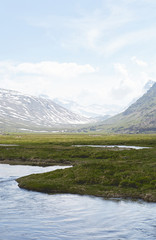 gran paradiso mountain valley landscape with river in summer