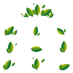 Set of green leaves on a white background. eco, nature and leaf logo inspiration