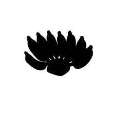 Fototapeta premium Vector bananas. Bunches of black banana fruits on white background. Illustration vector design. Silhouette vector stylel.