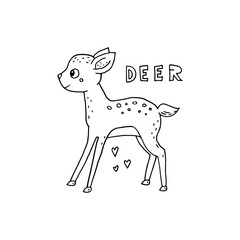 Doodle deer. Cute cartoon animal for nursery posters, cards, kids t-shirts. illustration.