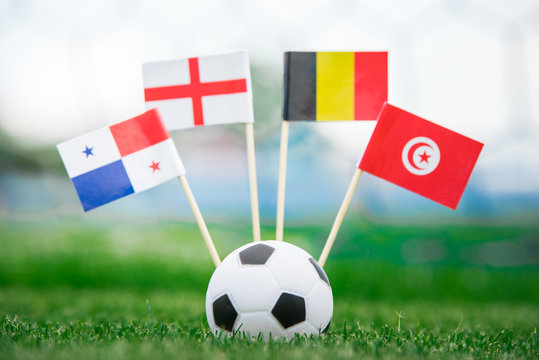 Belgium, , Tunisia, England - National Flags on green football grass. Concept photo, edit space.
