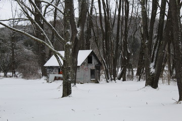 Abandoned and Beautiful