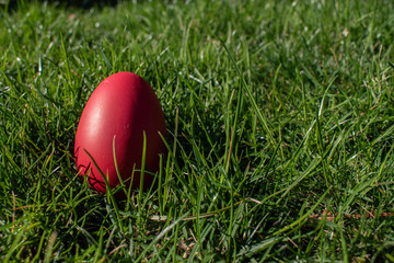Red easter egg on real grass background. Easter egg hunting