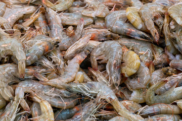 Pile of fresh prawns for sale in a UK fishmongers