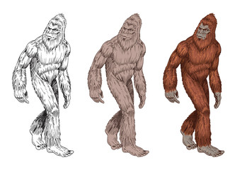 Fototapeta premium big foot hand drawn illustration