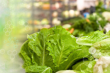 Concept of healthy and organic food. Lettuce salad at supermarket.
